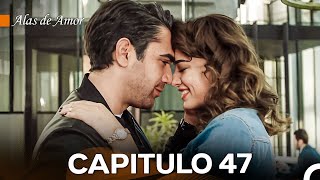 Alas de Amor Capitulo 47 Doblado En Español [upl. by Pudendas202]