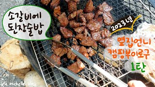 1년을 기다린 캠핑 부이로구 1탄🏕️ㅣ된장술밥 장작구이 소갈비 똑같이 해물구이 그렇지만 늘 짜릿한 맛🦑🦐ㅣ롯지 무쇠솥 amp 뉴 텐트 개시⛺️ㅣ예보에도 없던 폭우 속 우중캠핑🌧️ [upl. by Lundeen]