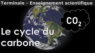 Le cycle du carbone  Enseignement scientifique  Terminale [upl. by Bram171]