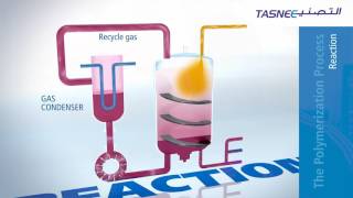 How Polymerization Works In A Gas Phase Reactor or how plastic is made [upl. by Simsar87]