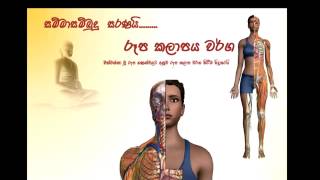 Paramartha Lokaya DVD 01 Time 3 Hours 21 Minutes SD Quality පරමාර්ථ ධර්ම විග්‍රහය [upl. by Dymphia]