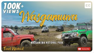 Wasgamuwa National Park Wild Safari  වස්ගමුව  Travel Weekend  Adventure  Elephants [upl. by Sigismondo]