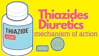 Thiazides Mechanism Of Action ANIMATED [upl. by Sophey]