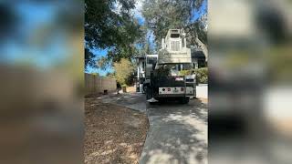 Tree Trimming Tree Removal amp Stump Grinding in South Daytona  Above The Rest Tree Service [upl. by Weide]