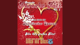 Ich schwör Karaoke Version Originally Performed By Kastelruther Spatzen [upl. by Ical]