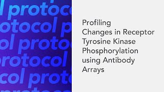 Profiling Changes in Receptor Tyrosine Kinase Phosphorylation using Antibody Arrays [upl. by Okorih]