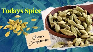 Ultimate guide to cardamomGrow cardamom for the leaves too elichi at home [upl. by Margie666]