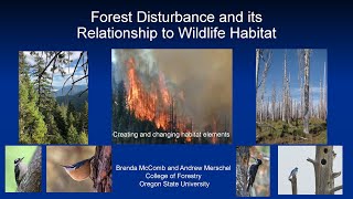 Forest Disturbance and its Relationship to Wildlife Habitat  Dec 19 2023 [upl. by Netti]