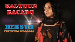 KALTUUN BACADO  FARUHUBA SIDOODA  OFFICIAL VIDEO [upl. by Inohs]