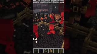 15 piglin brutes vs 30 wither skeletons epic battle trending minecraft op gaming foryou shorts [upl. by Namreg119]