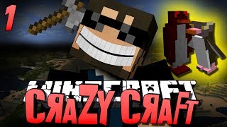 Minecraft CRAZY CRAFT 1  WTF IS THIS Minecraft Mod Survival [upl. by Eiralih]