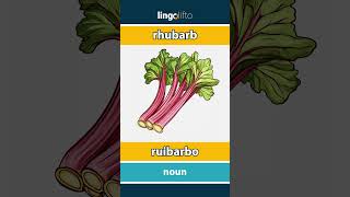 🇬🇧🇵🇹 rhubarb  ruibarbo  vocabulary builder  learn English  vamos aprender inglês [upl. by Euell]