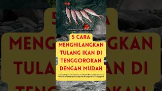 5 CARA MENGHILANGKAN TULANG IKAN DI TENGGOROKAN oscar shorts snakehead channa fishing catfish [upl. by Briano349]