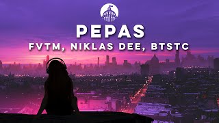 FVTM Niklas Dee BTSTC  Pepas ft Sergio Ochoa [upl. by Ashling]