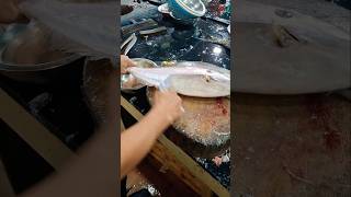 River leather jacket fishcutting freshwater shorts video [upl. by Ardyth]