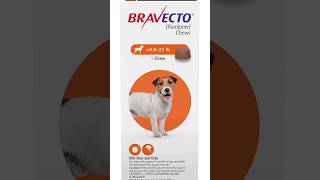 Solution for Ticks in Dogs  RIDD amp Bravecto [upl. by Oakleil]