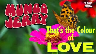 Mungo Jerry  Thats The Colour Of Love [upl. by Arama]