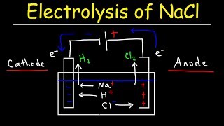 Electrolysis of Sodium Chloride  Electrochemistry [upl. by Llyrad]