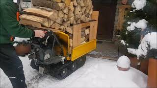 Minidumper Raupenschlepper Allwegtransporter beim Brennholztransport [upl. by Audy]