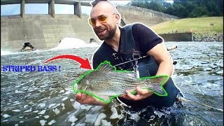 Shenango PA Dam Outflow Fishing [upl. by Aicinod]