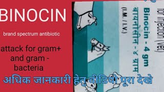 Binocin  ampicillin and cloxacillin injection ampicillin and cloxacillin uses  Manjhi Veterinary [upl. by Anehsak619]