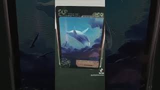 SCP1608 is a Balaenoptera musculus or blue whale scpfundation scp mrcartoon cards scptcg [upl. by Nirot]