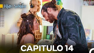 Pájaro Soñador Capítulo 14 Doblado En Español [upl. by Yknip929]