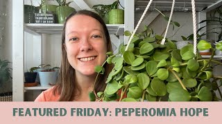 PEPEROMIA HOPE How I care for my peperomia hope [upl. by Ayres]