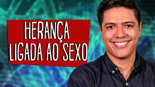 HERANÇA LIGADA AO SEXO Parte 01  HERANÇA SEXUAL  Genética  Prof Kennedy Ramos [upl. by Aime]