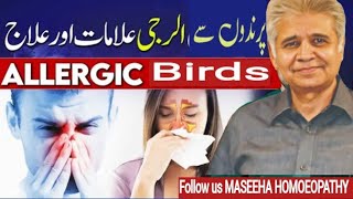 Part 22  How to Treat Birds Allergy  Dr Ali Muhammad [upl. by Aneles377]