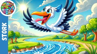 Storks Fun Journey  ‪HappyAnimalsTV Kids Songs amp Nursery Rhymes [upl. by Nallac]