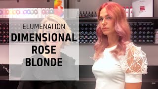 Dimensional Rose Blonde  Elumenated Hair Color  Goldwell Education Plus [upl. by Berni]