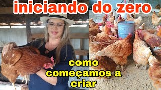 COMO COMECEI CRIAR GALINHAS  O QUE PRECISA PRA INICIAR DO ZERO CRIAR GALINHAS POEDEIRAS pathy [upl. by Brace]