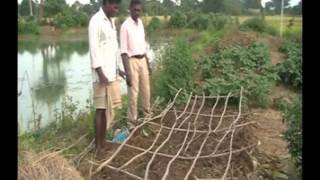 Nursery bed preparation in onion cultivation Odia PRADAN Jharkhand [upl. by Eiliah498]