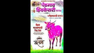 pedgaon hindkesri maidan 2024 [upl. by Amliv]