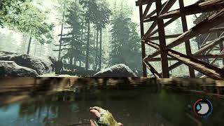 THE FOREST SAFEST BASE WITHOUT CANNIBALS SAVE FILE DOWNLOAD PC [upl. by Bertine950]