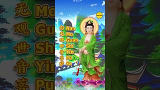 NAN MO GUAN SHI YIN PU SA  南无观世音菩萨  BUDDHIST MUSIC VIDEO [upl. by Aral768]