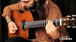 Cordoba Guitars  Fusion Orchestra CE Cedar [upl. by Yesrod]