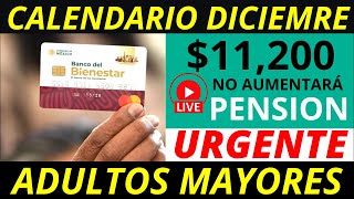 No aumentará la pensión 2025 Y calendario diciembre pago de 11 mil 200 💰✅ [upl. by Ainaznat6]