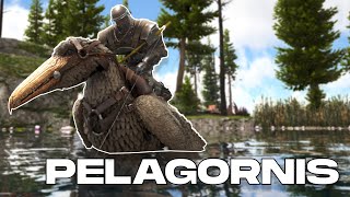 COMO TAMEAR PELAGORNIS y TODAS SUS HABILIDADES PC PS y XBOX  ARK [upl. by Ocker]