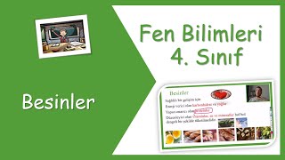 4 Sınıf Fen Bilimleri  Besinler [upl. by Parris]