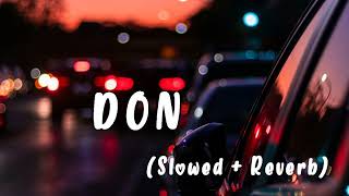 Don New Punjabi song Diljit Dosanjh Slowed  Reverb Lofi song 2024 [upl. by Nera]