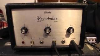 Standel Reverbalux Adineko Oil Can Reverb delay [upl. by Primaveria]