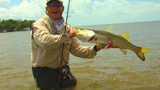 Wade Fishing for Snook in the Florida Everglades with DOA Terroreyz [upl. by Edivad]