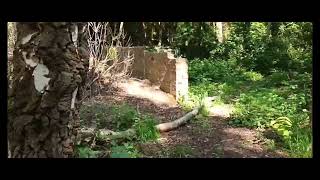 ww2 air raid shelter and building ruins explore adventure [upl. by Namwob]