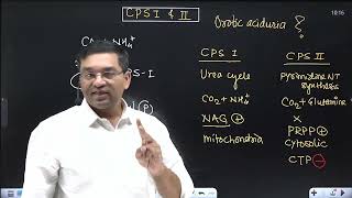 Link between Urea cycle and Pyrimidine NT synthesis  CPS 1 and 2 Orotic aciduria in Type 2 UCD [upl. by Allyce]