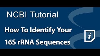 How To Identify Your 16S rRNA Sequences [upl. by Ymmik]