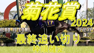 【菊花賞2024】第85回菊花賞最終追い切り（枠順確定） [upl. by Llemaj]