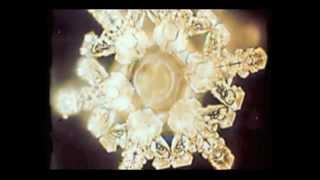 Masaru Emoto  Water Experiments [upl. by Nosiram315]