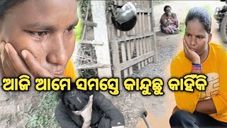 ଆଜି ଆମେ ସମସ୍ତେ କାହିଁକି କାନ୍ଦୁଛୁ  Emiti Kariba Uchit Nunhe Today Vlog [upl. by Anifares]